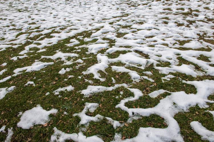 High angle view of snows on grass. Horizontal composition. Image taken with Nikon D800 and developed from Raw format.